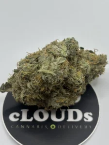 Pure Michigan strain