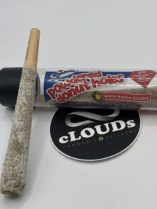 devour powdered donut holes