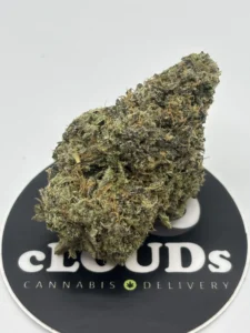 Lemon Citrine strain