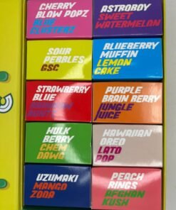 Choices Lab 2G Disposable