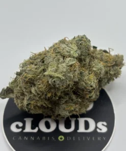 Pure Michigan strain