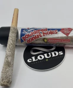 devour powdered donut holes