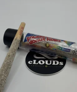 devour powdered donut holes