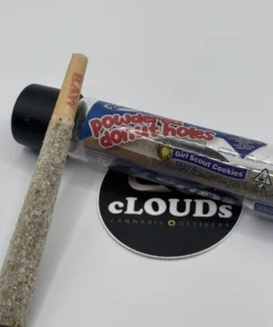 devour powdered donut holes