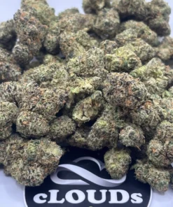 Black Cherry Gelato strain