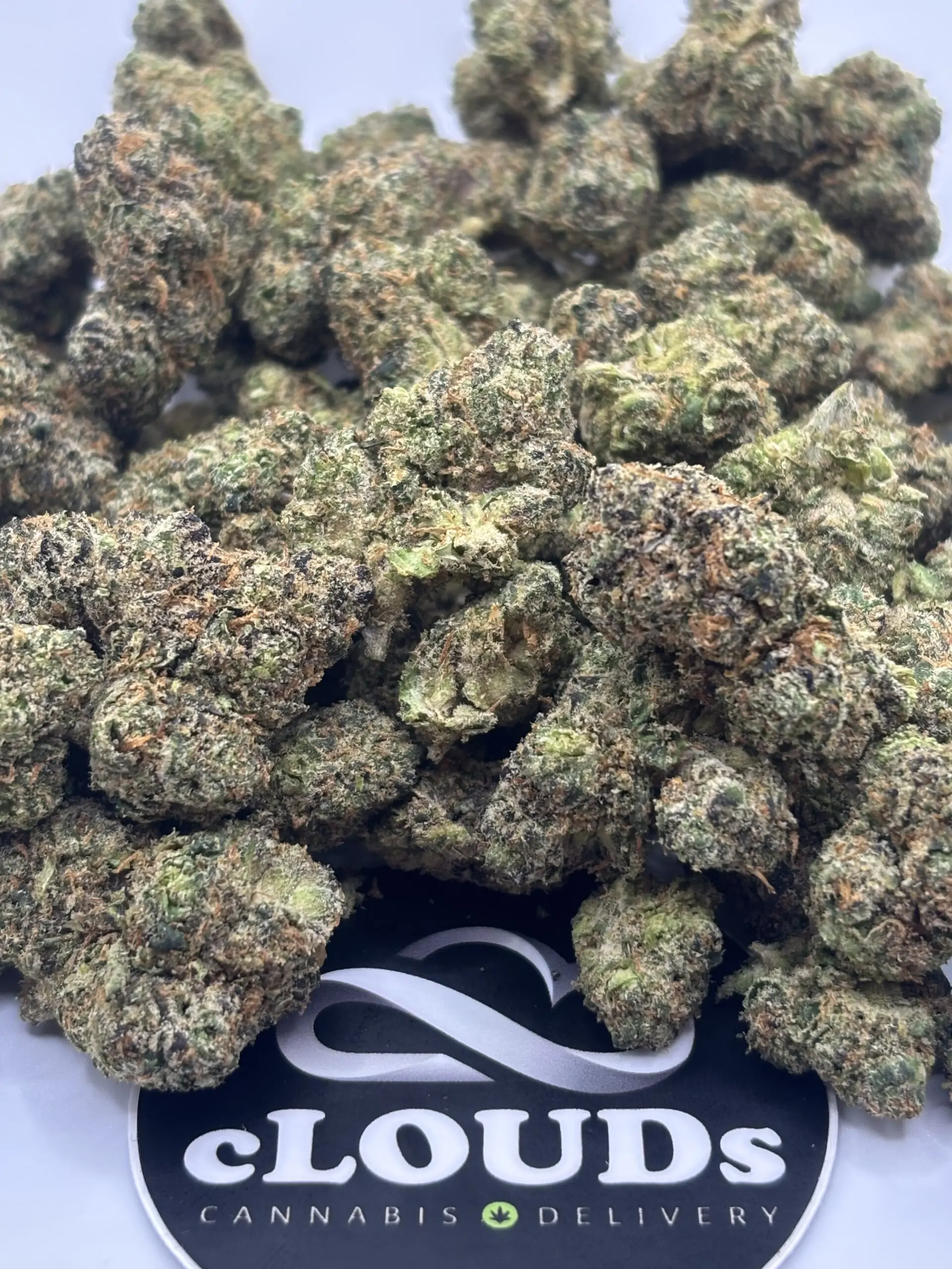 Black Cherry Gelato strain