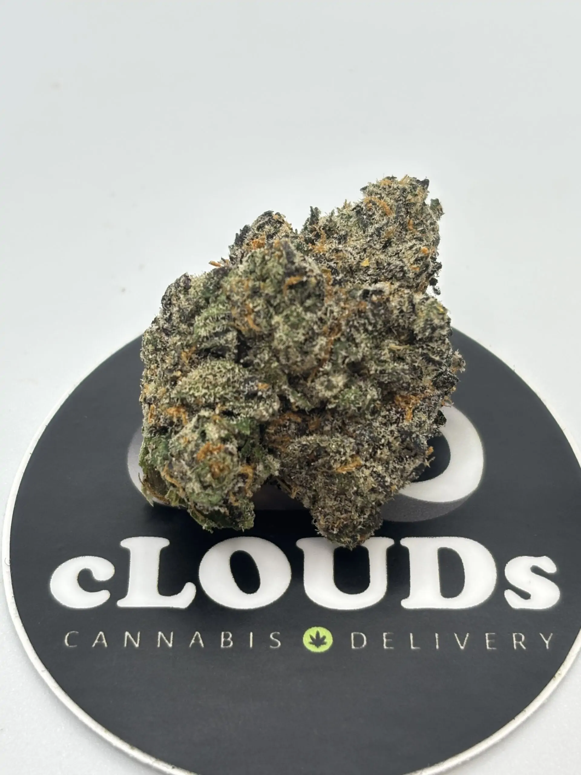 Black Cherry Gelato strain