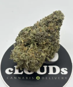 Lemon Citrine strain