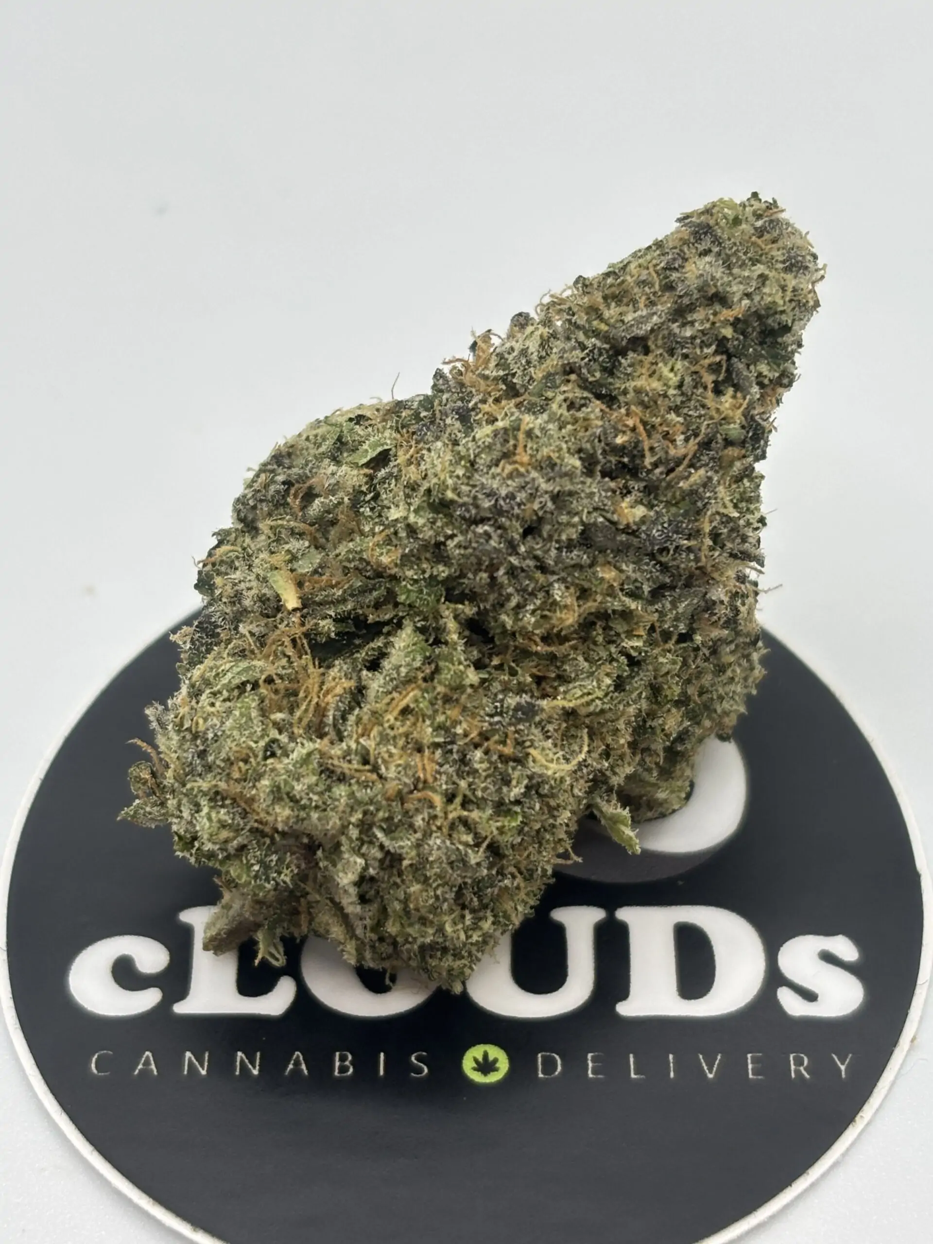 Lemon Citrine strain