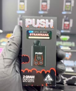 New Push 2G Disposable